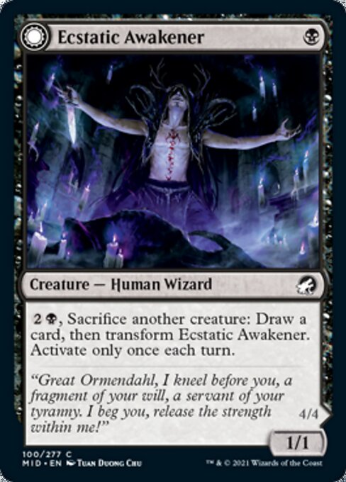 mtg pauper card draw Magic The Gathering - The Lord of the Rings main image 1